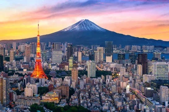 Aerial view of Tokyo, Japan cityscape with Mount Fuji in the background