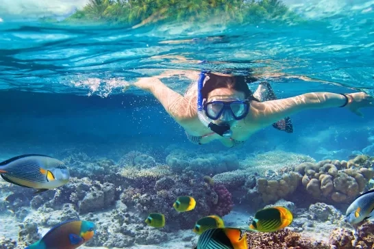 Woman snorkeling in the tropical waters of the Caribbean