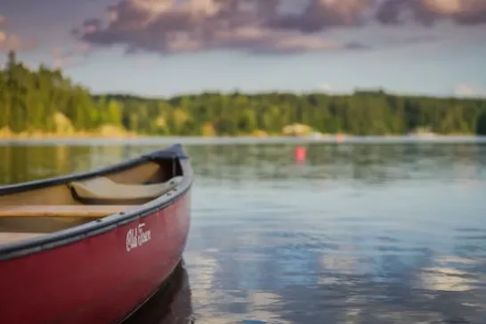 Algonquin park