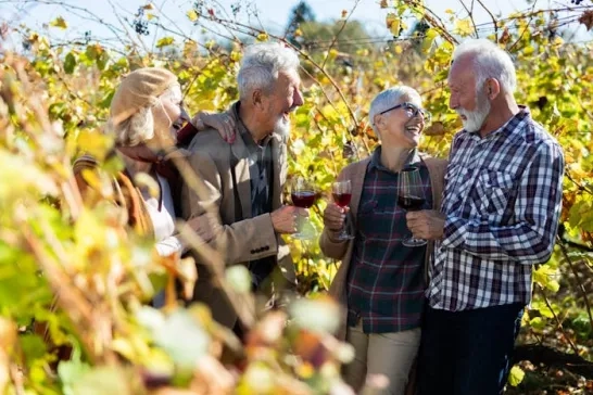 Group of friends laughing at a vineyard