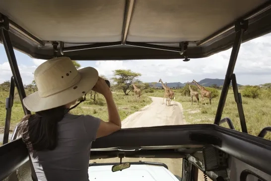 Women looking at giraffes on an African safari