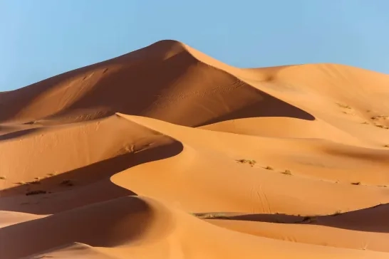 landscape of golden sand dune with blue sky in Sahara desert