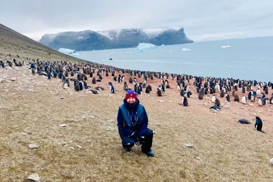 Penguins