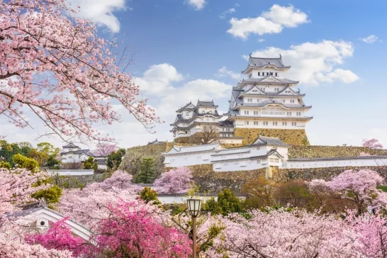 Himeji Castle, Japan in Spring Season