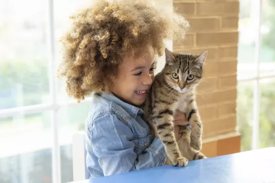 Kid playing with a cat