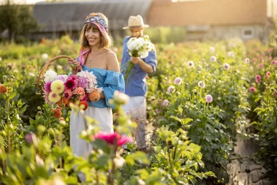 Man and woman pick up flowers at farm outdoors