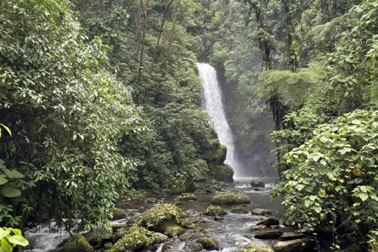 La Paz Waterfall Gardens Nature Park Alajuela Province Costa Rica