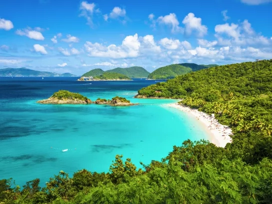 Caribbean coastline with a blue sky and lush forests