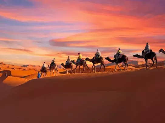 Camel riding at sunset in the Agafay Desert, Morocco