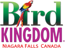 Bird Kingdom