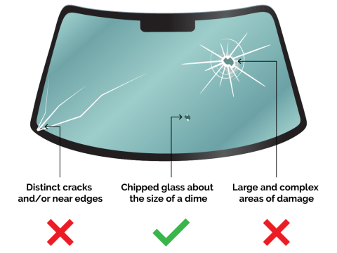 infographic of types of damage on windshields