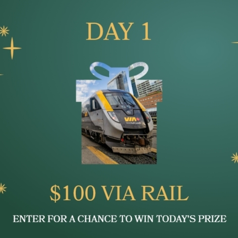 $100 VIA Rail