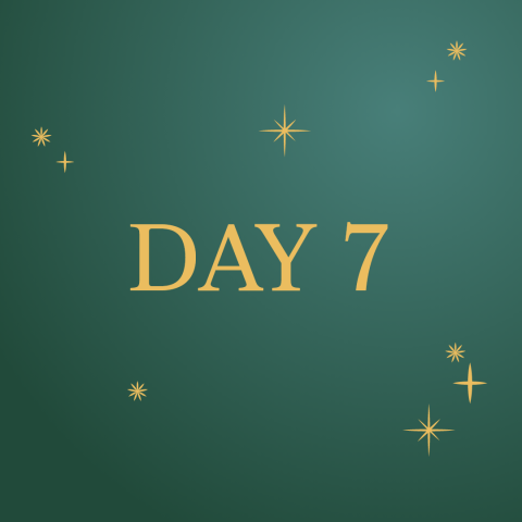 12 days_day 7