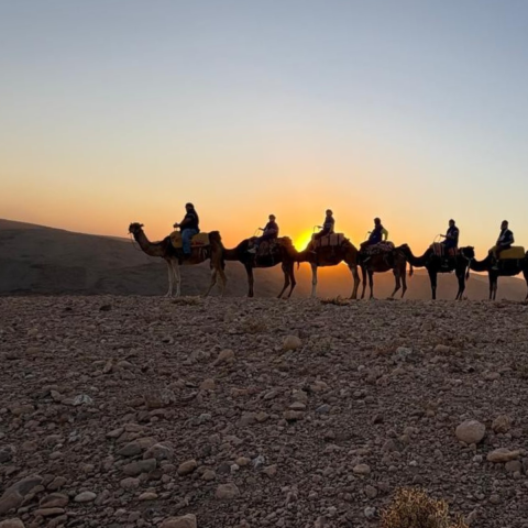 Michele Moore - Travel Photo 1