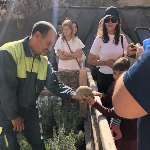 Michele Moore - Travel Photo 2