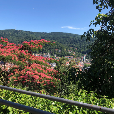 Michele Moore - Travel Photo 3