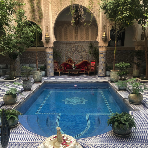 Michele Moore - Travel Photo 4