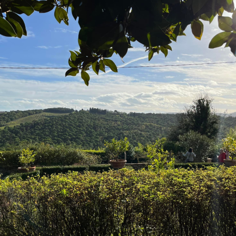 Savanah Leeson - Travel Photo 2