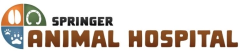 Springer Animal Hospital