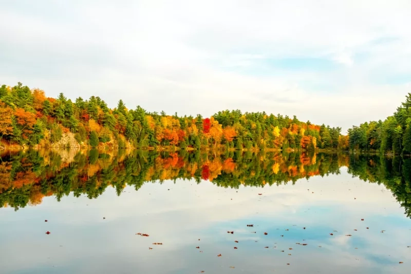 The Ottawa Valley