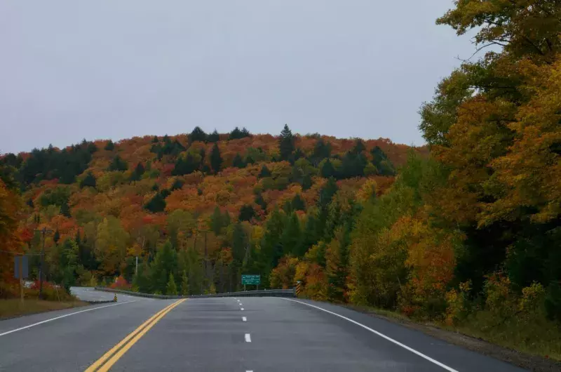 Algonquin Provincial Park