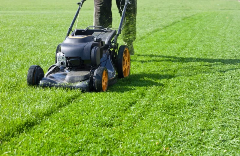 mowing the lawn