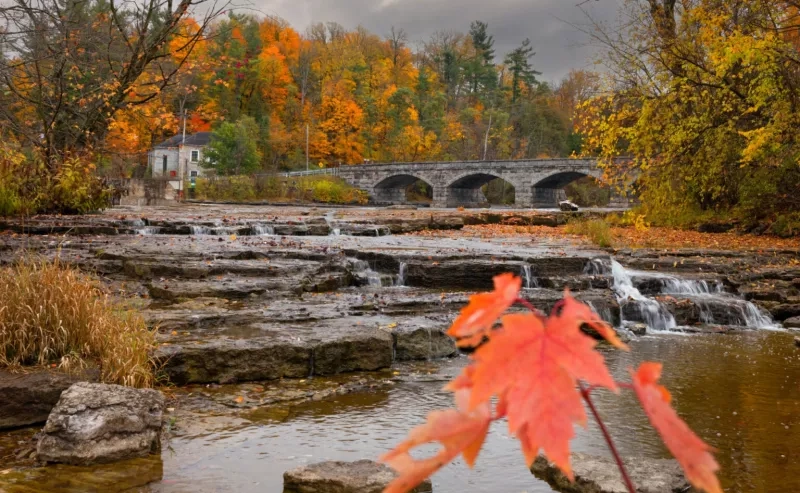 Carleton Place and Mississippi Mills