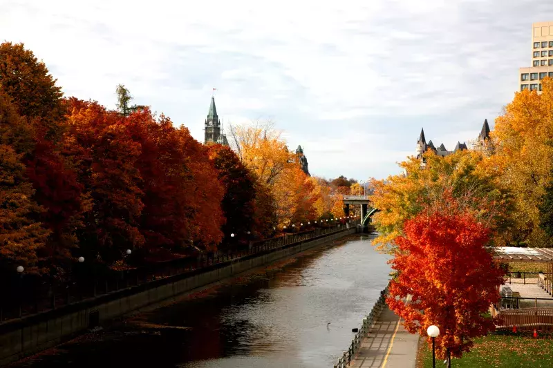 Ottawa river surrounded by fall trees