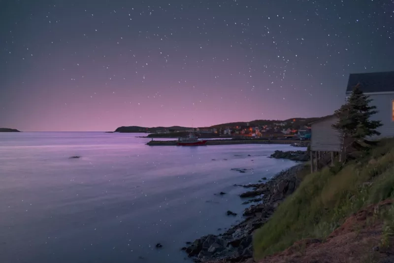 stars newfoundland