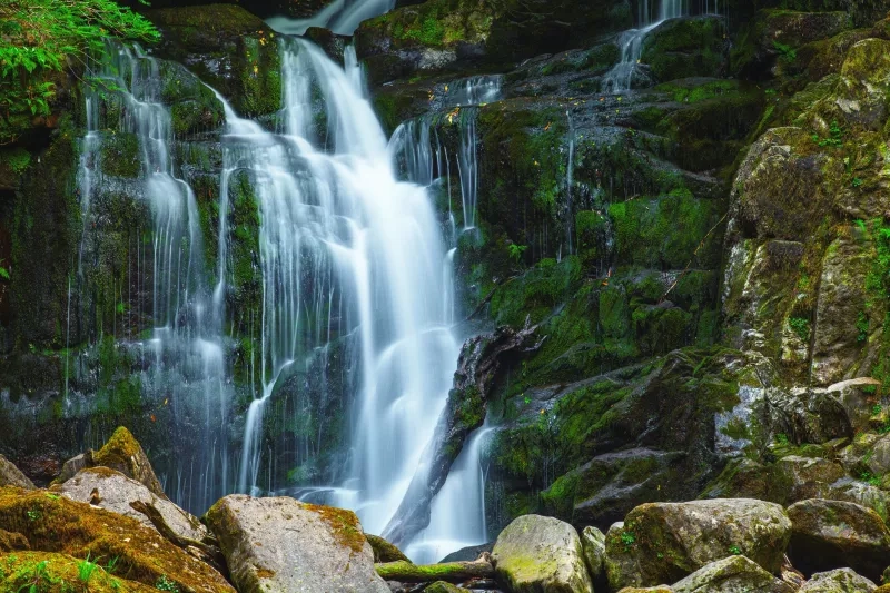 Torc Waterfall, located within the enchanting embrace of Killarney National Park in County Kerry, Ireland, is a mesmerizing sight to behold. The waterfall, with its gentle yet powerful flow, descends gracefully from a rugged rocky outcrop, forming multiple tiers that create a soothing symphony of cascading water. The surrounding landscape is a rich tapestry of vibrant greens, as the lush foliage of the park frames the waterfall in a natural embrace. 