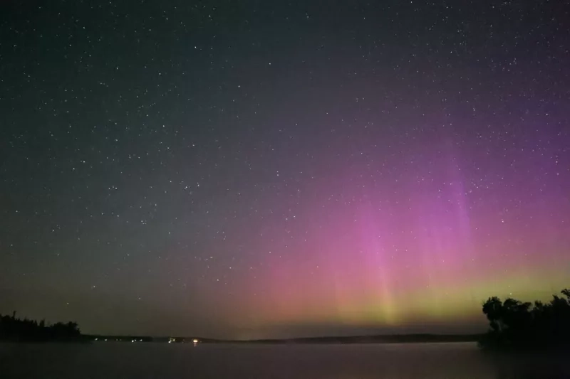 stars Manitoba