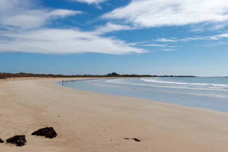 Beautiful long sand beach with black lava rocks in the galapagos, Puerto Villamil, Isabela Island, Ecuador