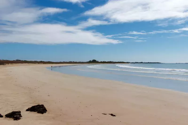 Beautiful long sand beach with black lava rocks in the galapagos, Puerto Villamil, Isabela Island, Ecuador