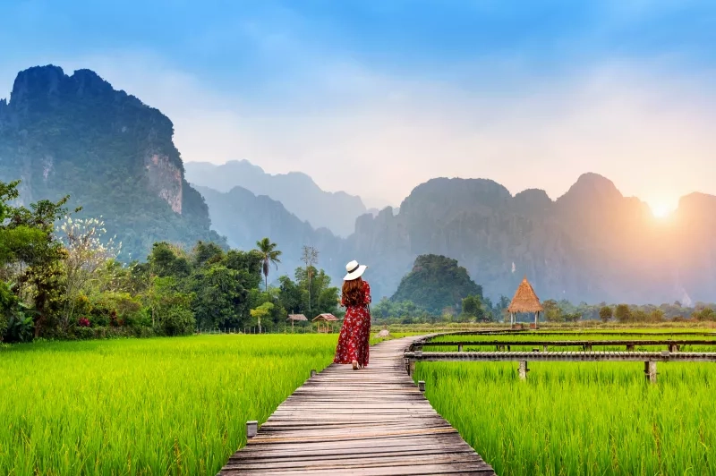 wooden path with green rice field in Vang Vieng, Laos