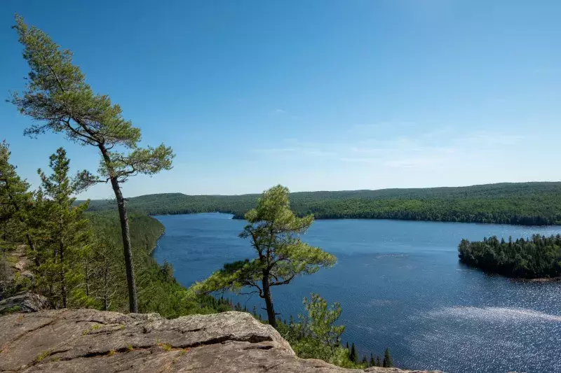 Beautiful shot of a forest in Sudbury