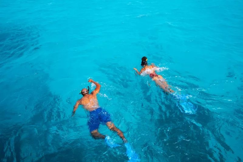 couple snorkeling in ocean