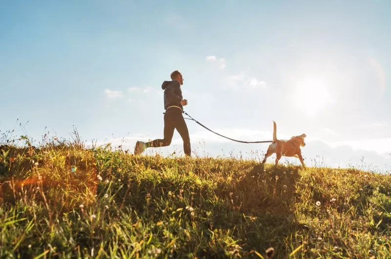 Man running with his dog at sunny morning