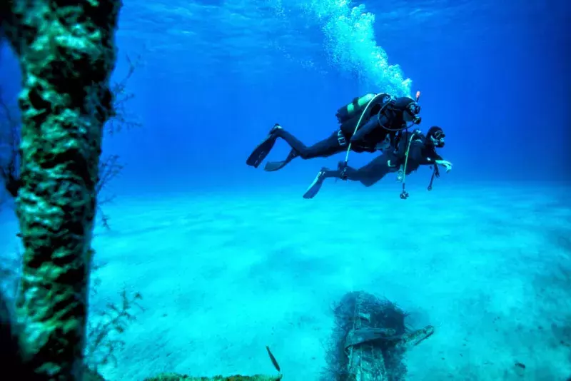 people scuba diving around ship wrecks 