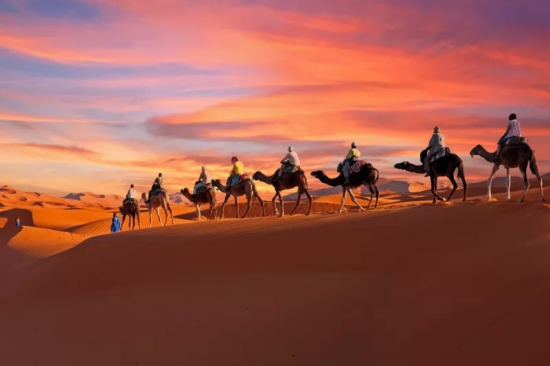 Camel riding at sunset in the Agafay Desert, Morocco