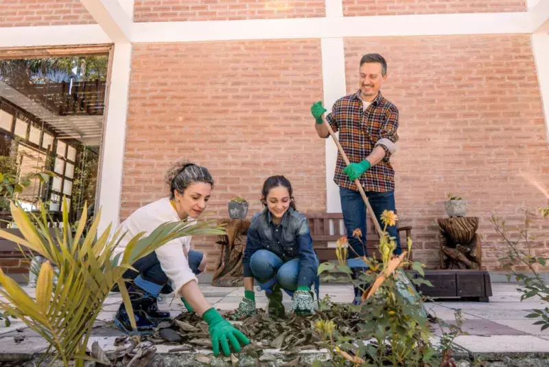 cleaning garden