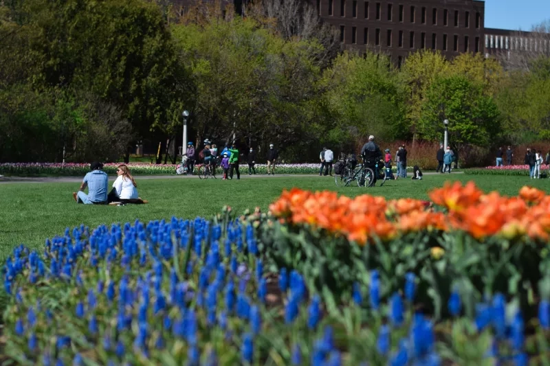 People walking and sitting on a grass enjoying the day in Commissioners Park