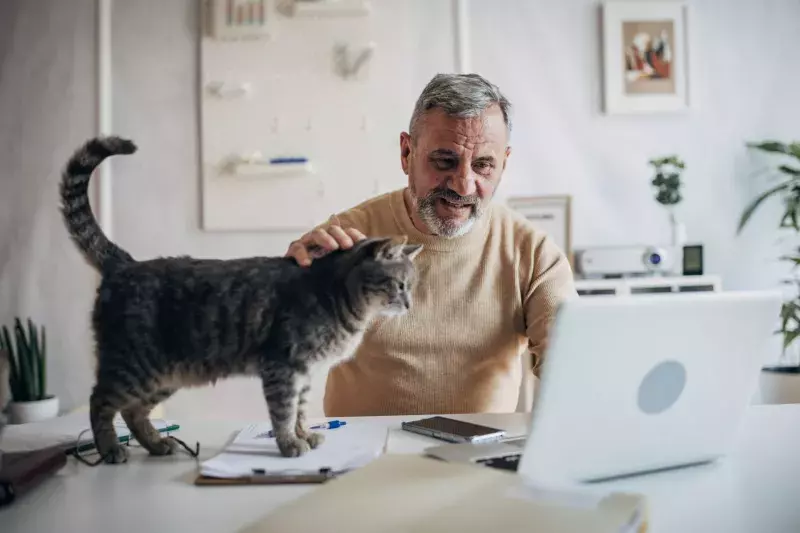 Man at his laptop with a cat on the desk overlooking his work.