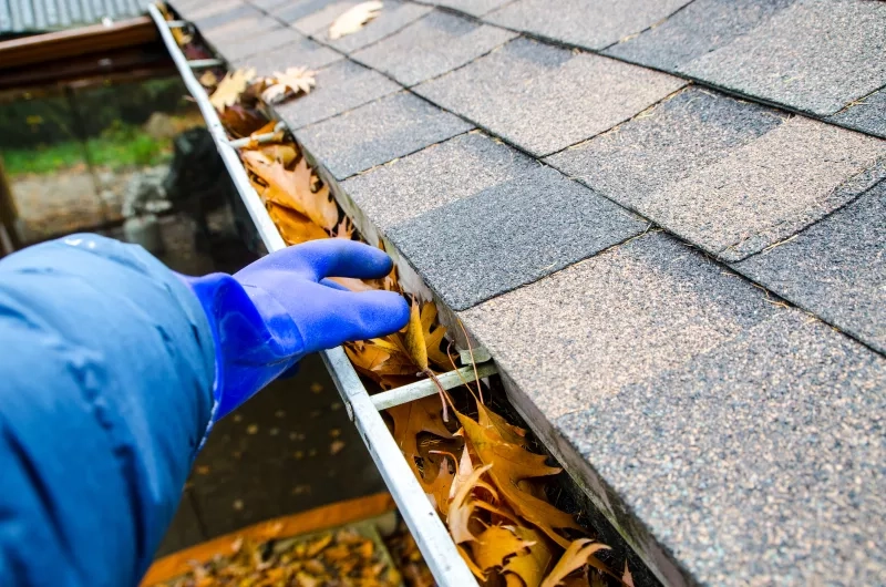 Hand with glove removing autumn leaves from gutter