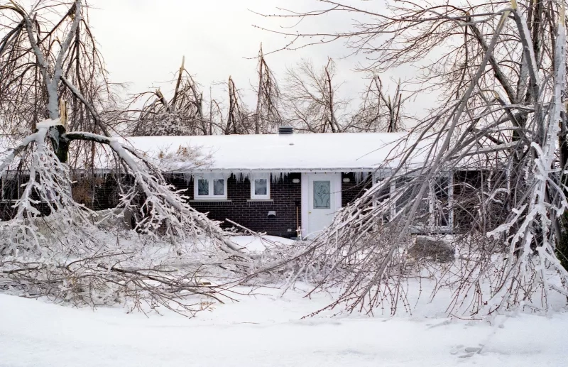 Fallen branches next to house due to a winter storm