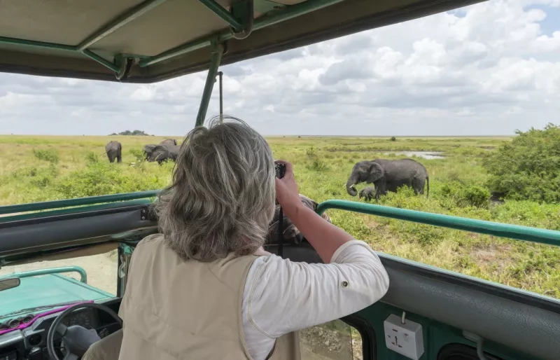 woman photographing elephants in safari jeep