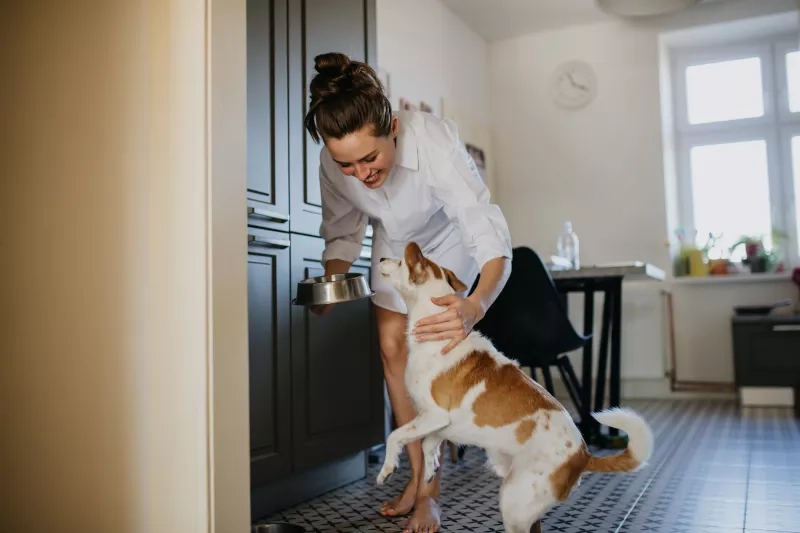 Woman feeding dog