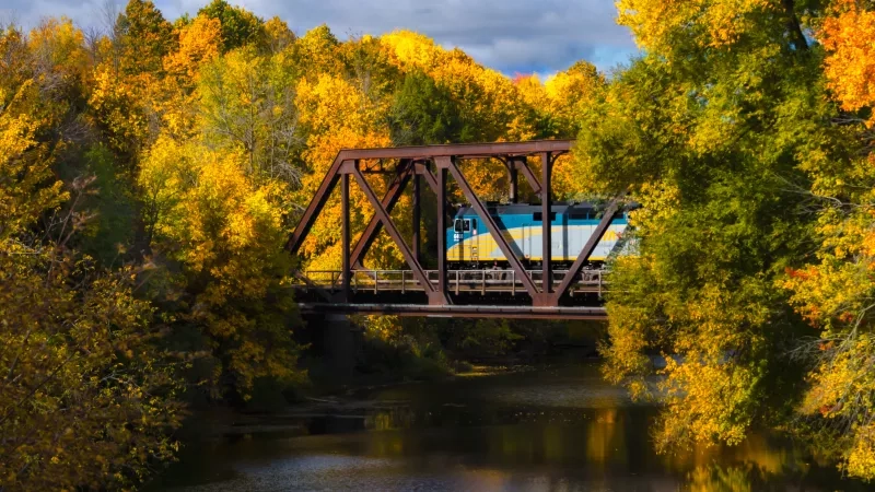 Train over bridge in the fall