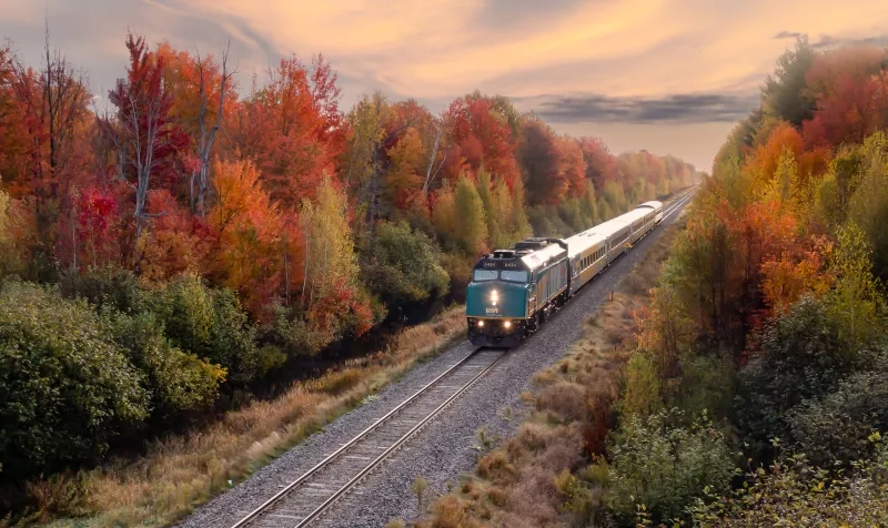 Train surrounded by fall leaves