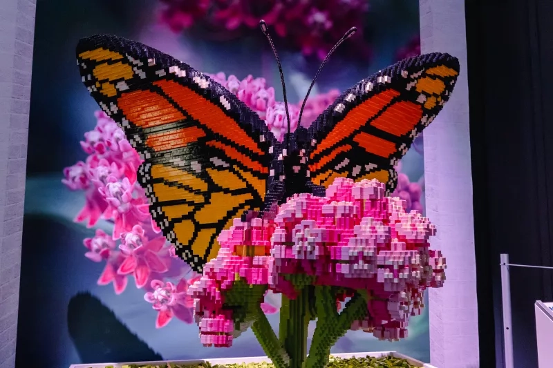 Lego butterfly