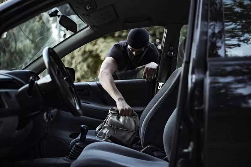 Thief stealing handbag from car 